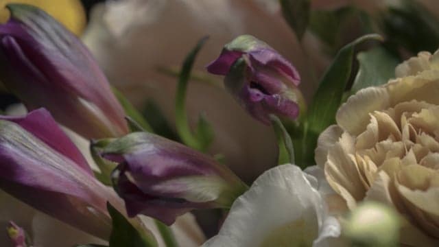 Bloom & Wild - Autumn/Winter