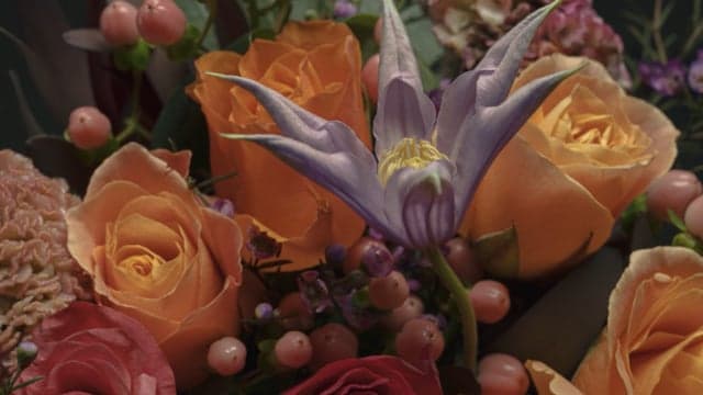 Bloom & Wild - Spring/Summer